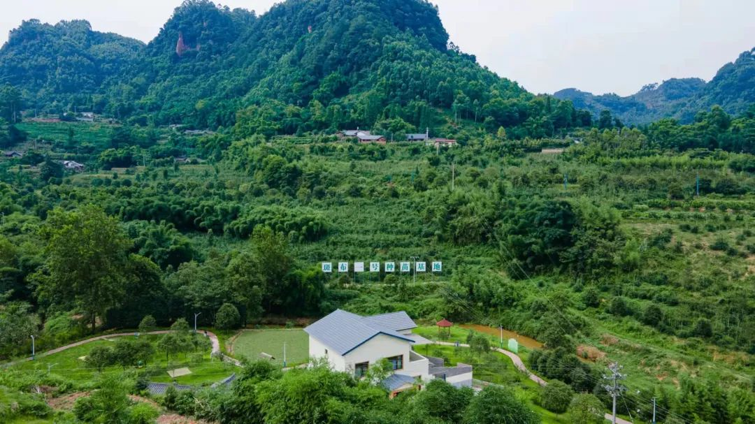 ̫������2007��վ(�й�)���޹�˾����