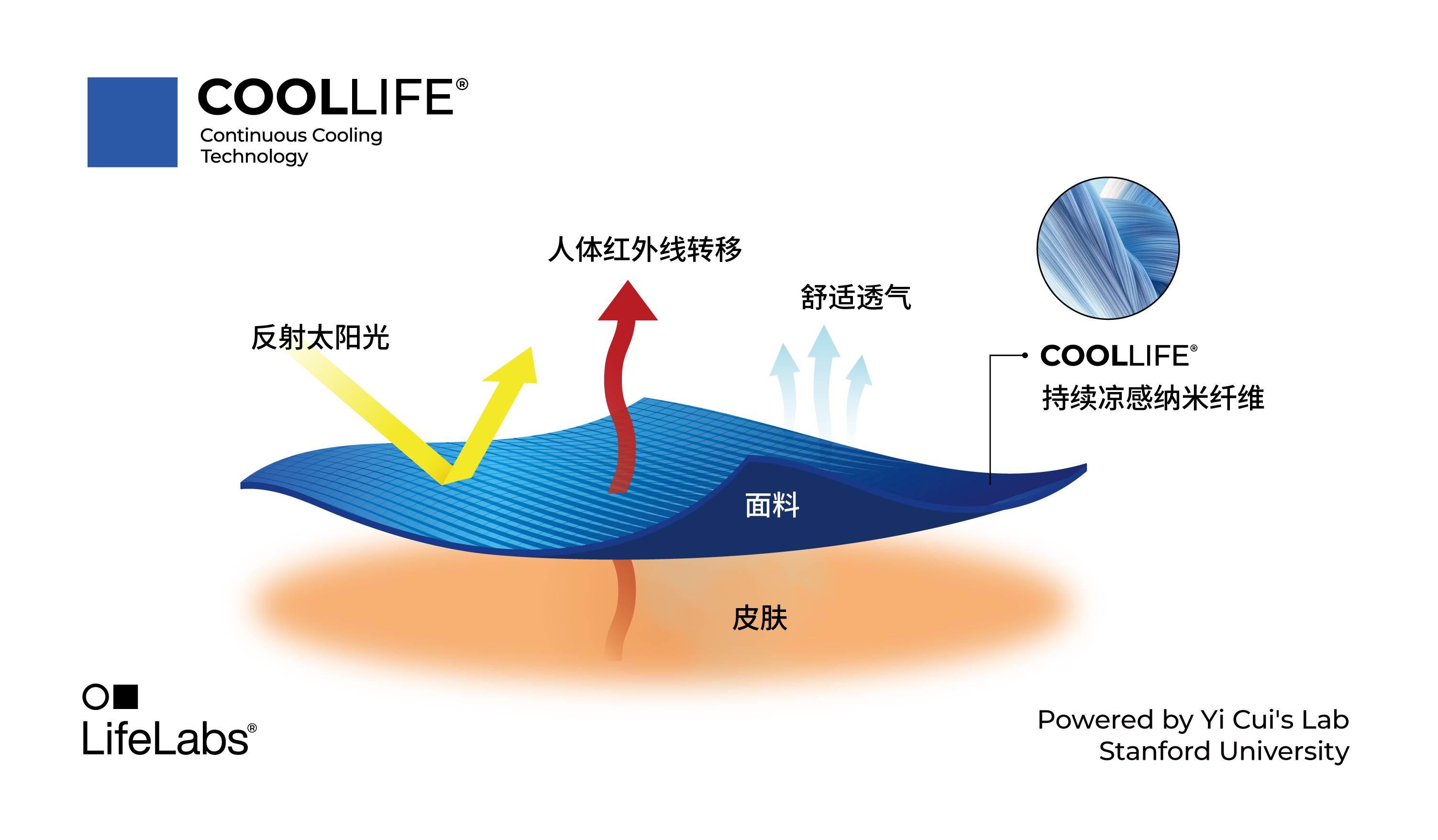 ̫������2007��վ(�й�)���޹�˾����